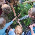 Schüler:innen pflanzen Blumen im Schulgarten