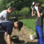 Schüler auf einem Feld