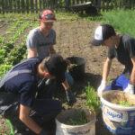 Schüler auf einem Feld