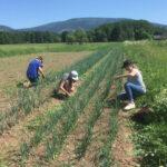 Schüler auf einem Feld