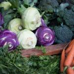 frisches Gemüse auf dem Markt