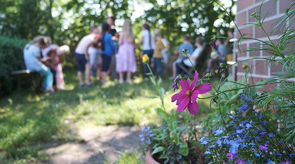 Blume im Schulgarten