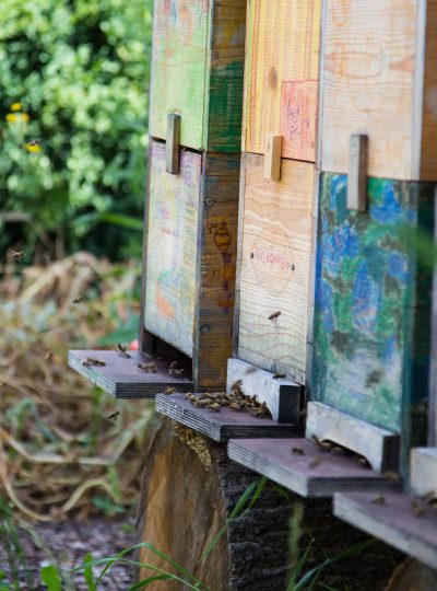 Waldorfunterricht_Haupt-Fachunterricht_4 Bienenstöcke